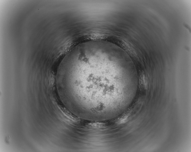 X0000096950367200802151243