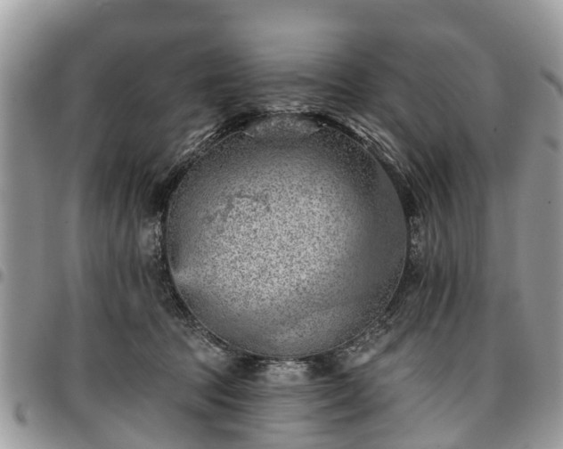 X0000096950369200802151243