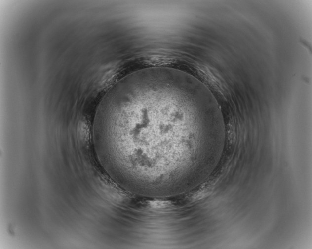 X0000096950371200802151243