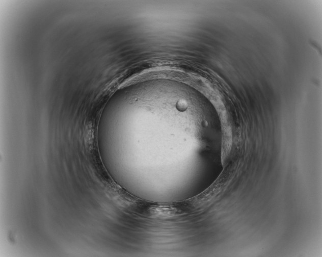 X0000096950372200802151243