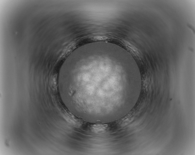 X0000096950373200802151243