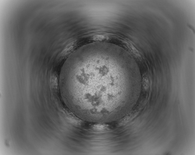 X0000096950375200802151243