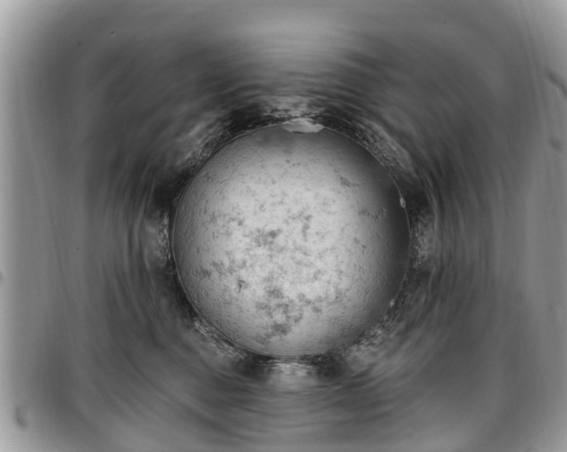 X0000096950376200802151243