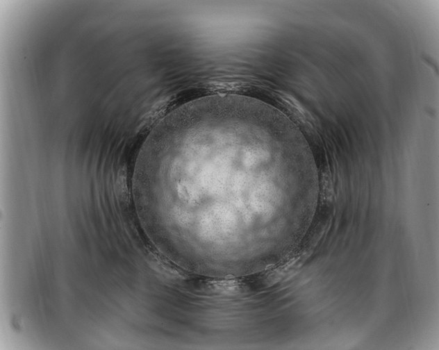X0000096950377200802151243