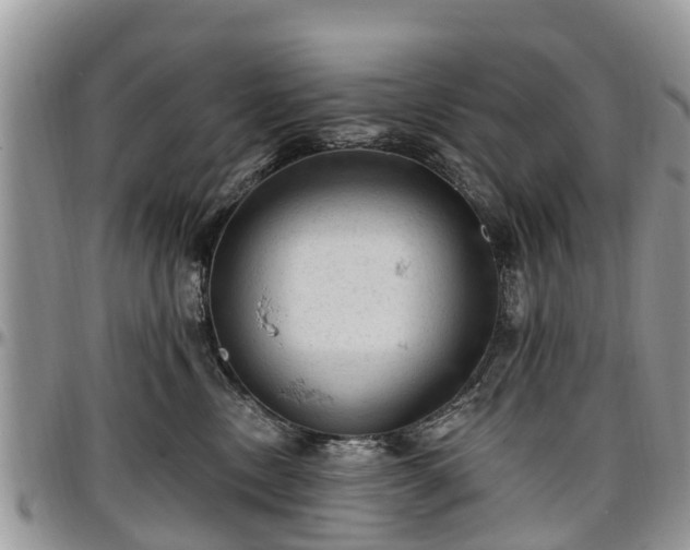X0000096950378200802151243