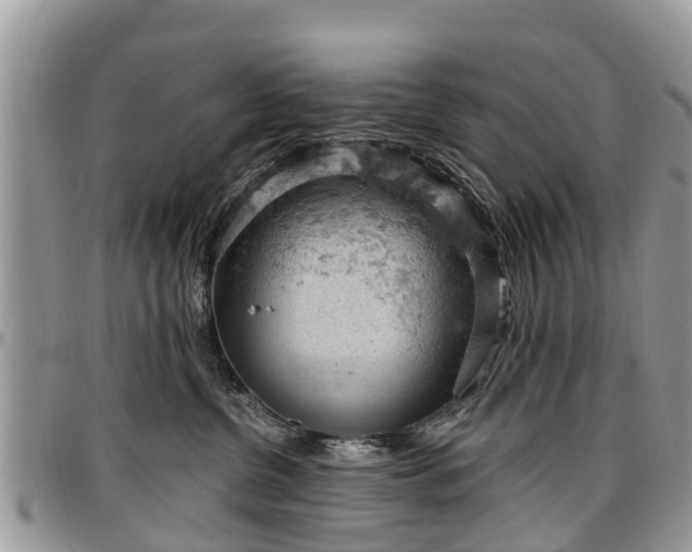 X0000096950380200802151243