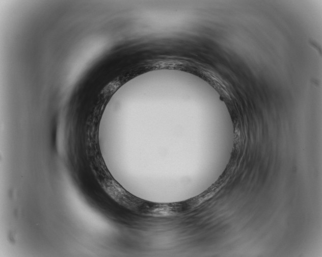 X0000096950381200802151243