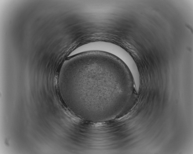 X0000096950382200802151243