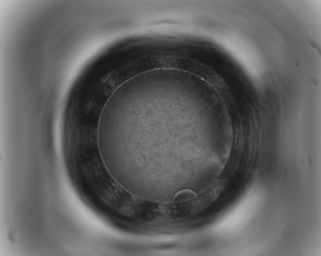X0000096950383200802151243
