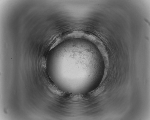 X0000096950384200802151243