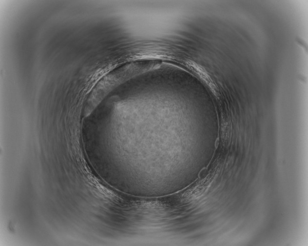 X0000096950385200802151242
