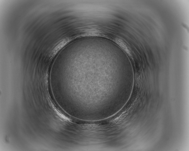 X0000096950389200802151242