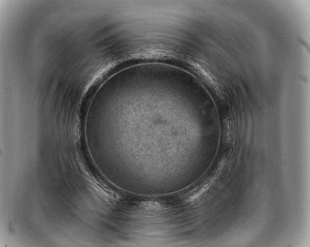 X0000096950392200802151242