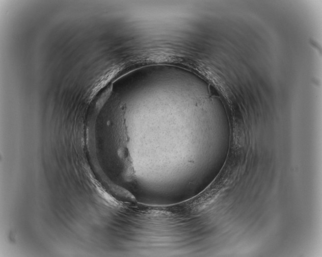 X0000096950393200802151242