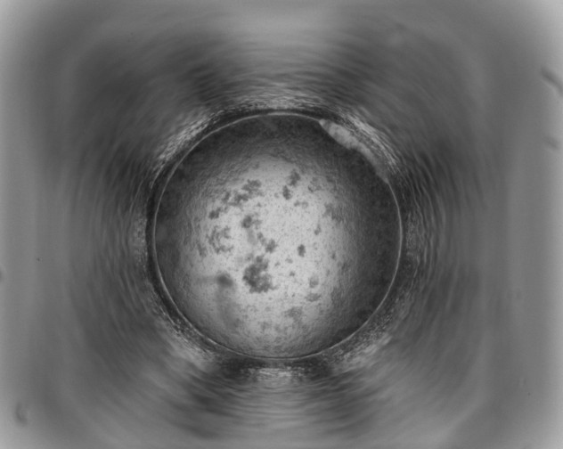 X0000096950394200802151242