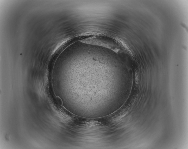 X0000096950396200802151242
