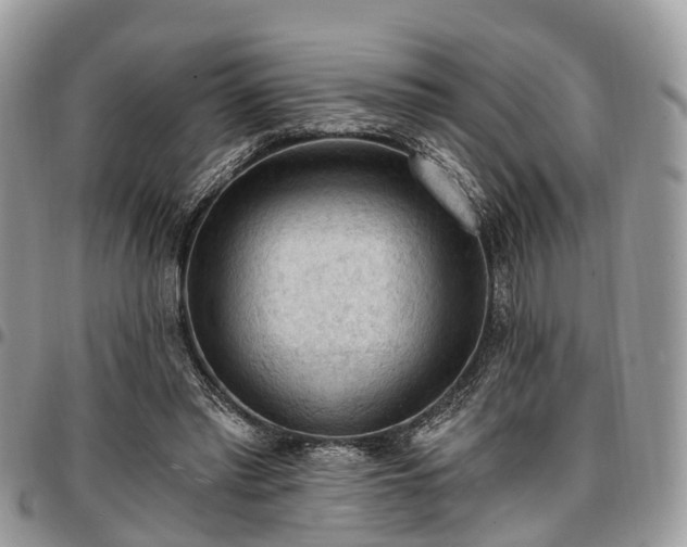 X0000096950397200802151242