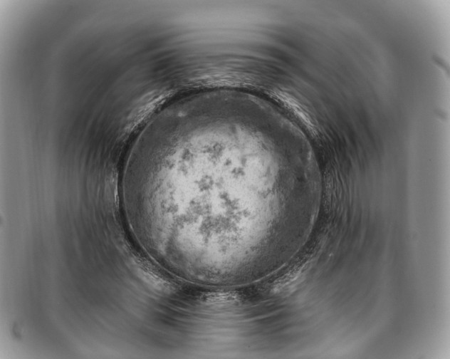 X0000096950398200802151242