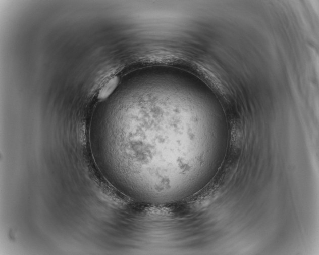 X0000096950403200802151242
