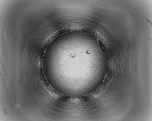 X0000096950405200802151242