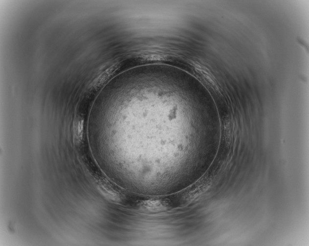 X0000096950406200802151242