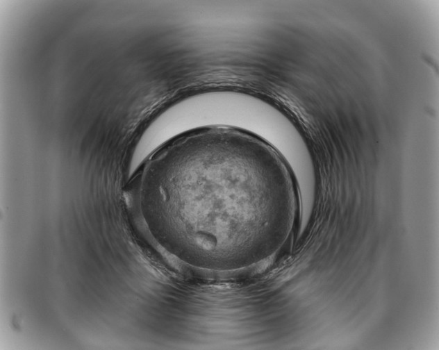 X0000096950411200802151242