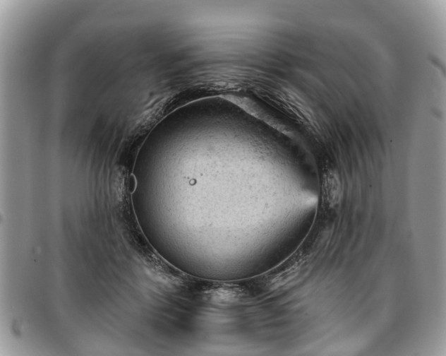 X0000096950412200802151242