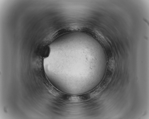 X0000096950413200802151242