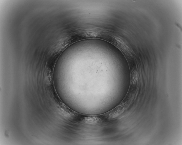 X0000096950414200802151242