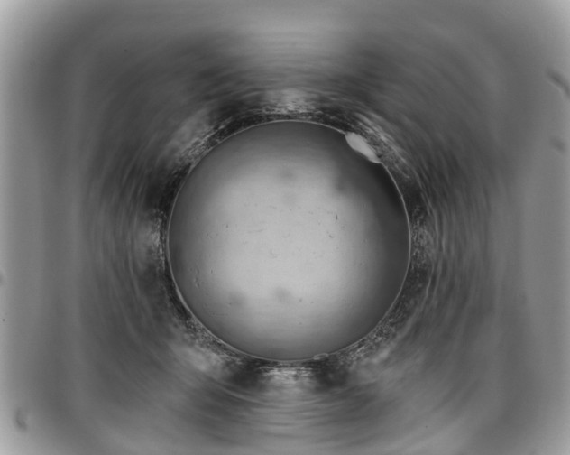 X0000096950415200802151242