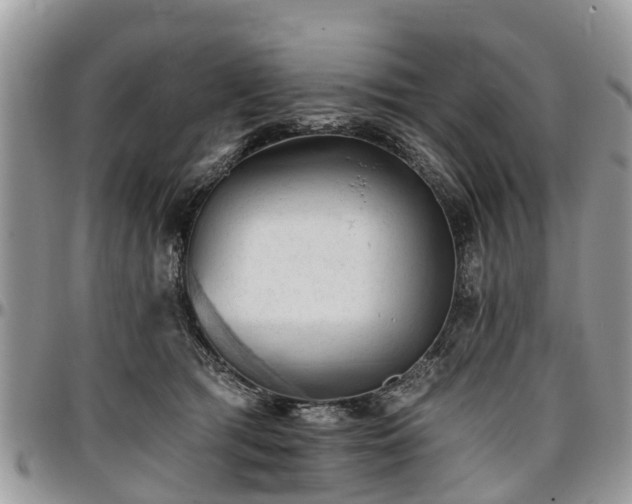 X0000096950417200802151242