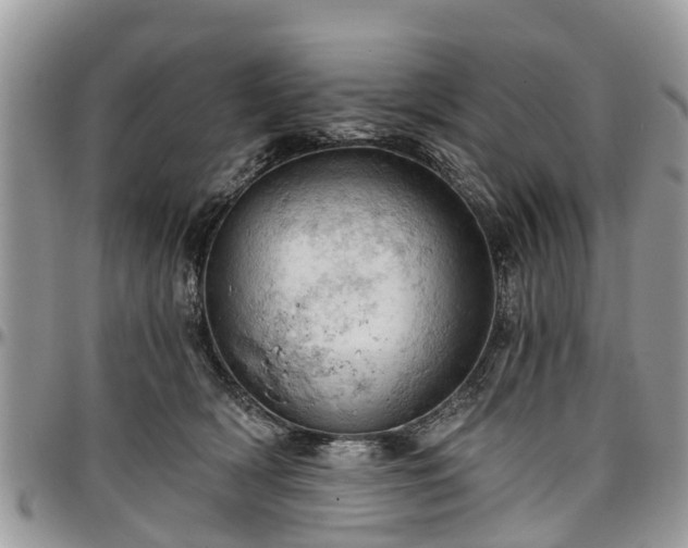 X0000096950418200802151242