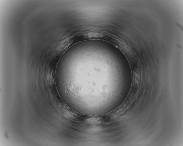 X0000096950422200802151242