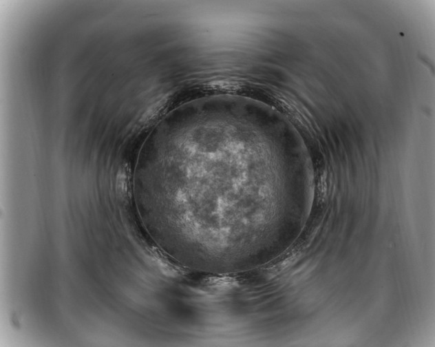 X0000096950424200802151242