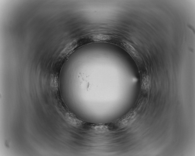 X0000096950426200802151242