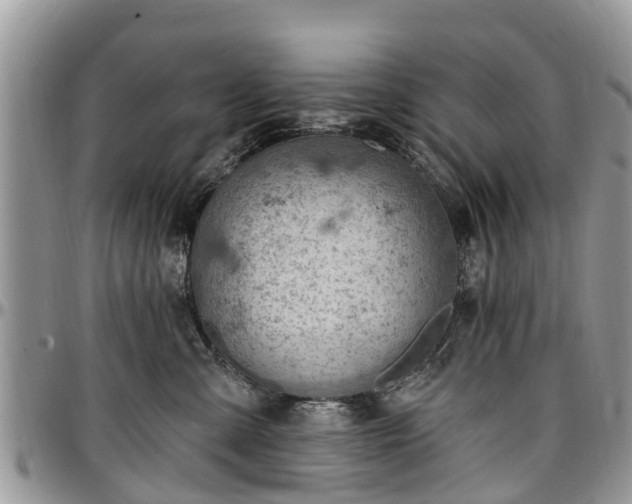 X0000096950427200802151242