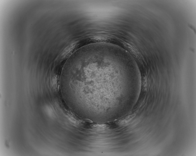 X0000096950428200802151242