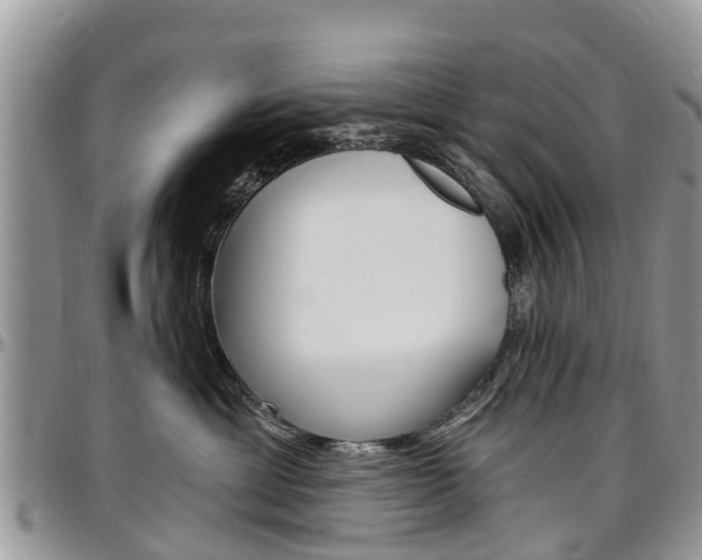 X0000096950429200802151242