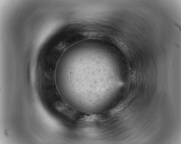 X0000096950430200802151242