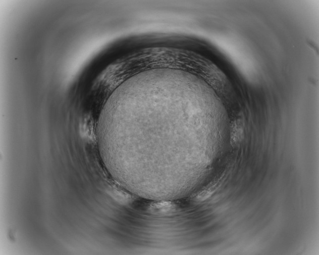 X0000096950431200802151242