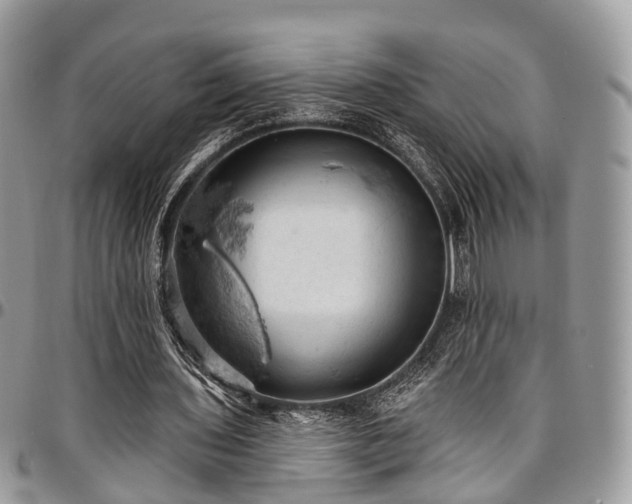 X0000096950435200802151241