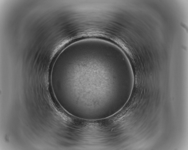 X0000096950438200802151241