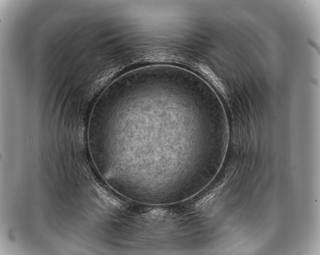 X0000096950441200802151241