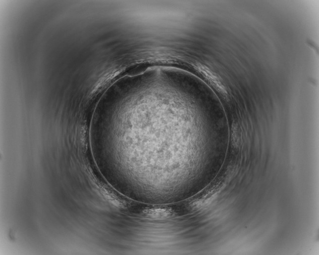 X0000096950449200802151241