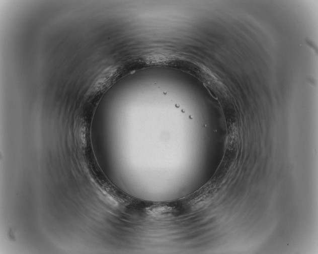 X0000096950452200802151241