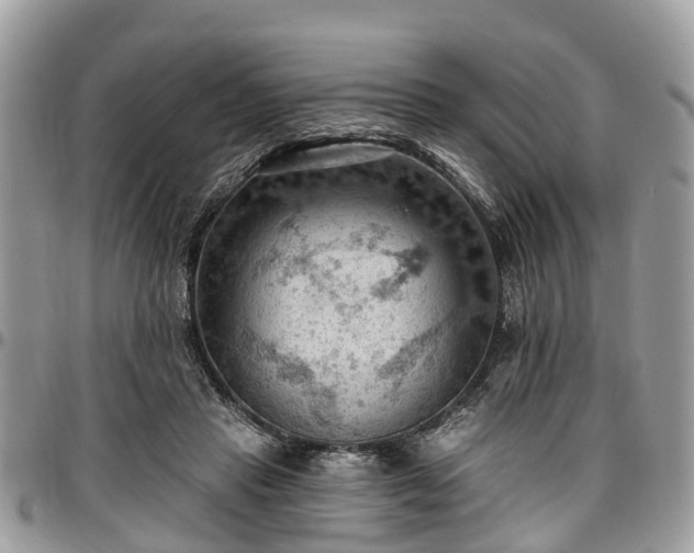 X0000096950453200802151241
