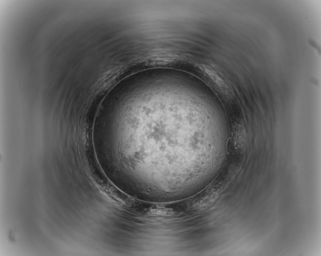 X0000096950455200802151241