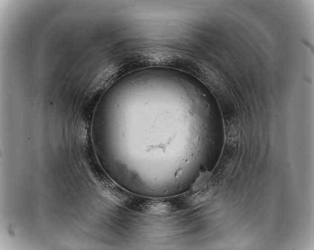 X0000096950456200802151241