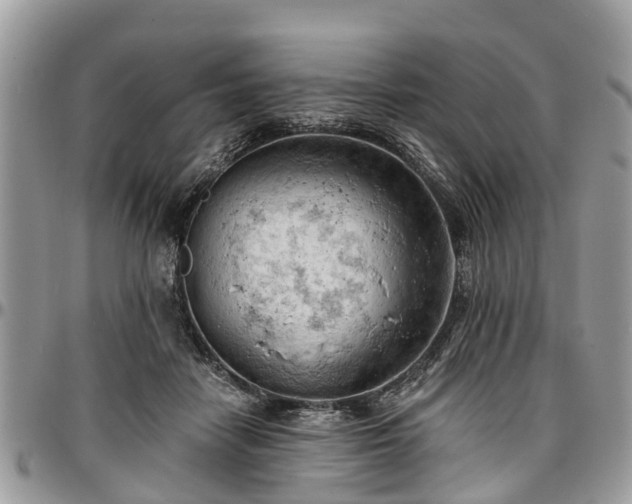 X0000096950458200802151241