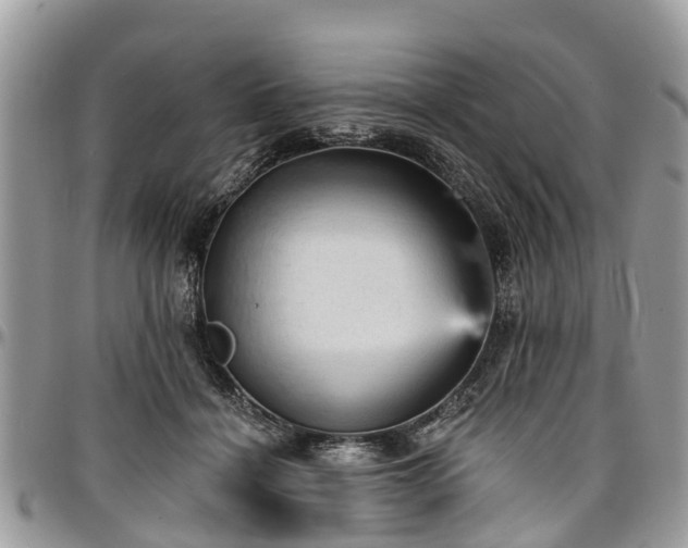 X0000096950460200802151241